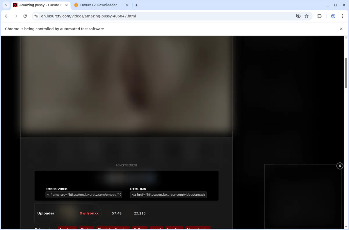 LuxureTV Video Downloader screenshot 3