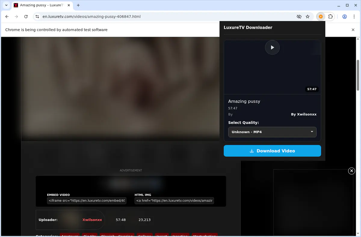 LuxureTV Video Downloader screenshot 4